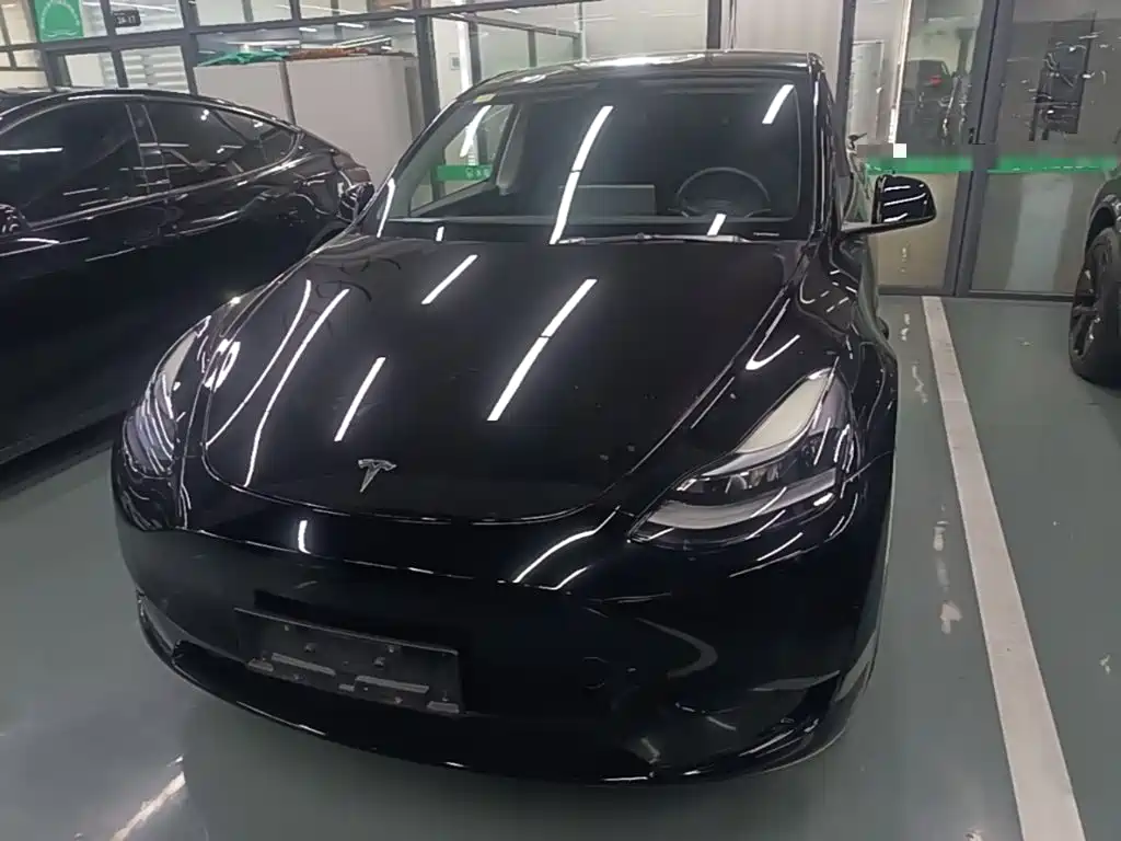 Tesla Model Y — миниатюра 3