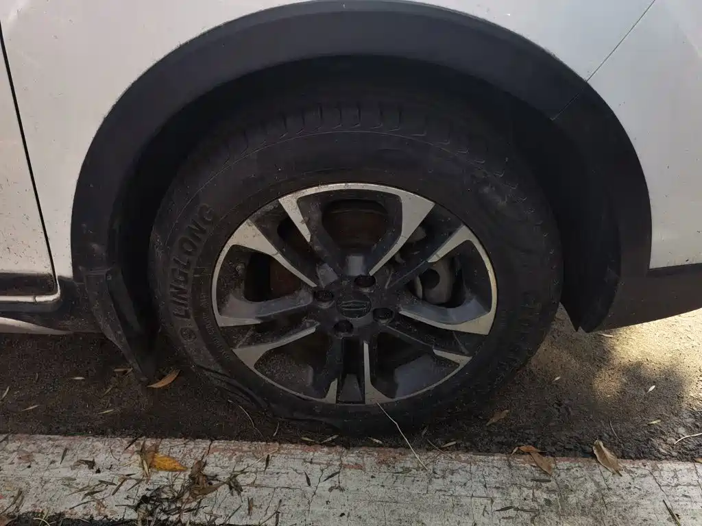 Geely Vision X3 — миниатюра 8