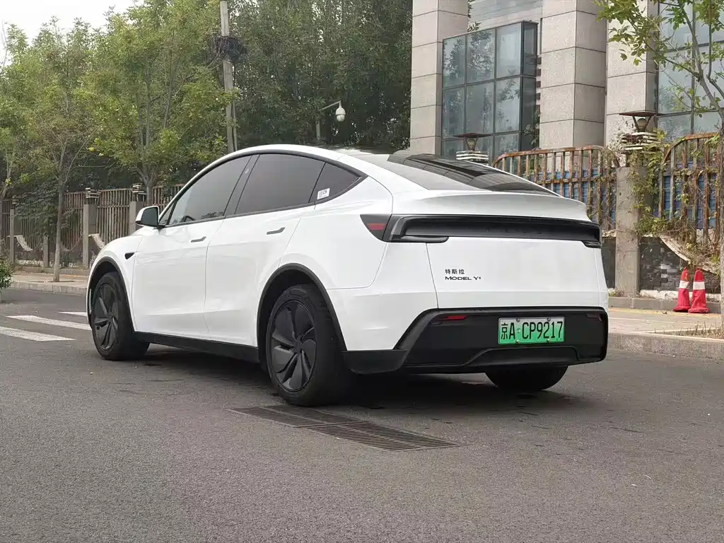 Tesla Model Y — миниатюра 23