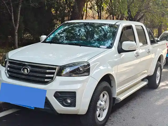 GREAT WALL FENGJUN 5 2019