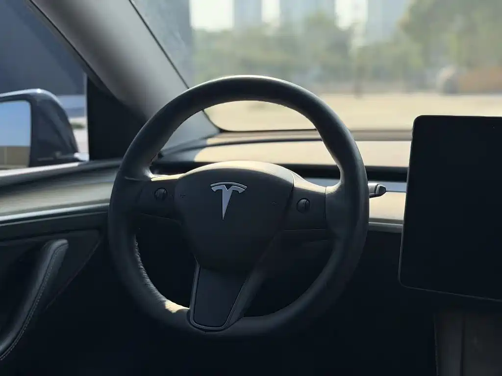 Tesla Model Y — миниатюра 10