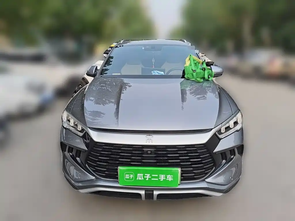 BYD Pro New Energy — миниатюра 2