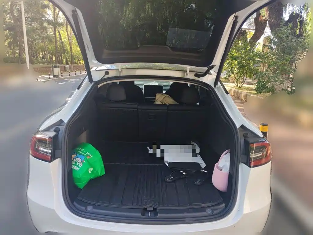 Tesla Model Y — миниатюра 20