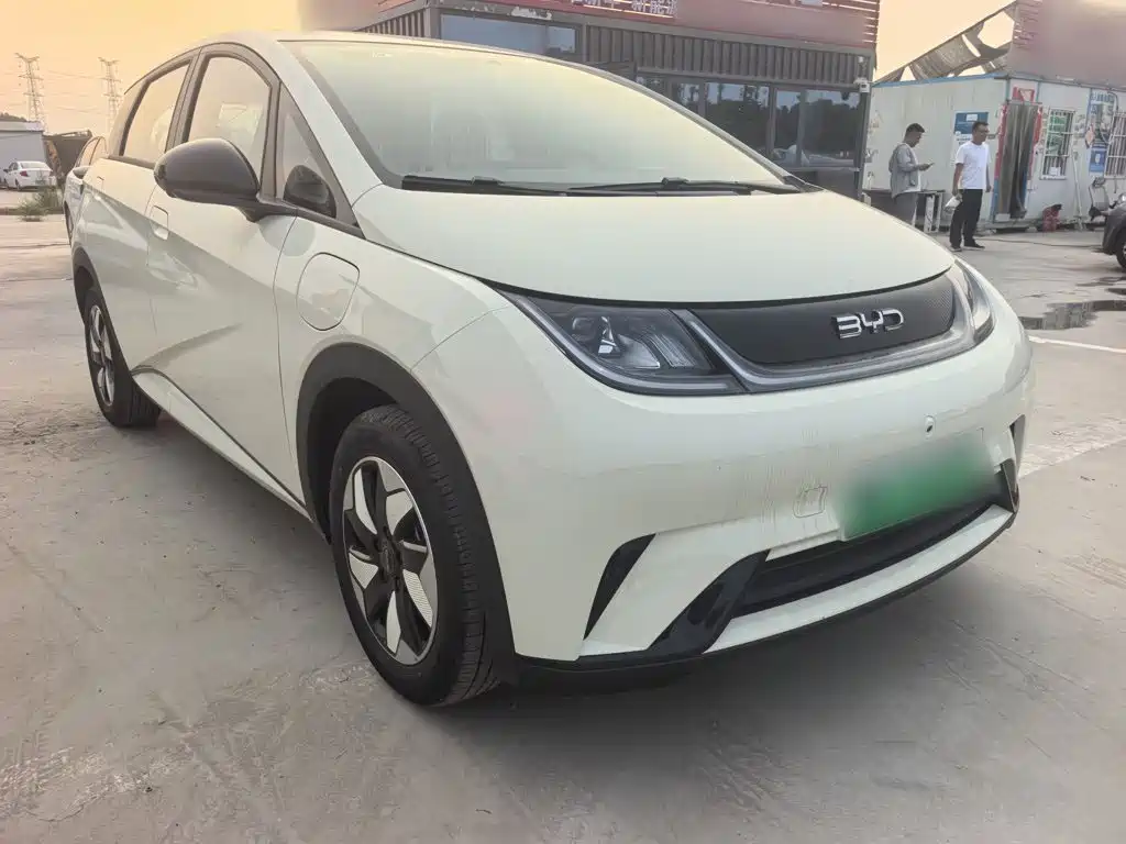 BYD Dolphin 2025 420km Freedom