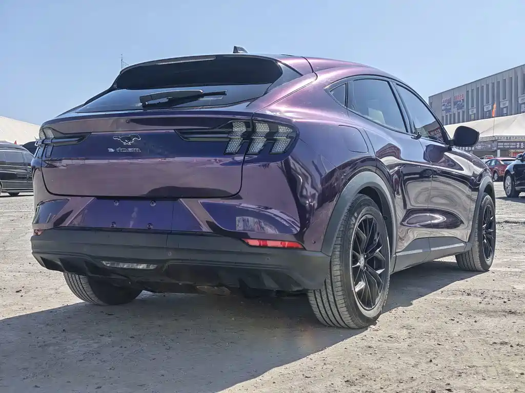 Ford Mustang Mach-E — миниатюра 7