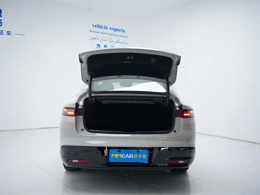 Leapmotor B01 2025 550 Enjoy