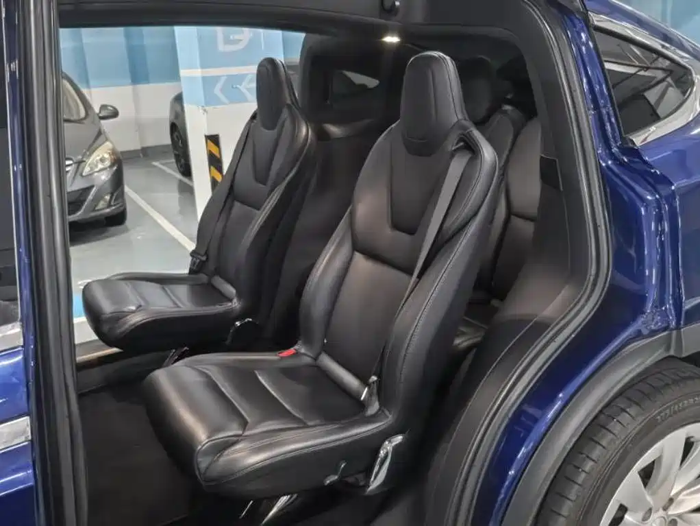 Tesla Model X — миниатюра 8