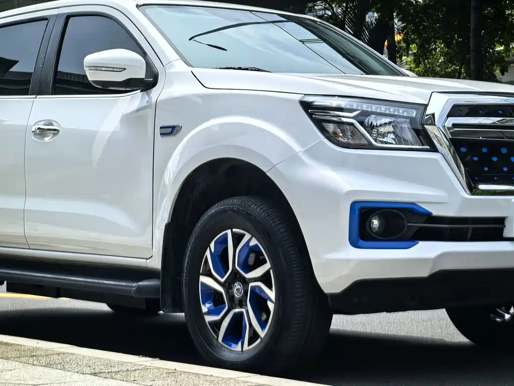 Dongfeng Rich 6 New Energy — миниатюра 6