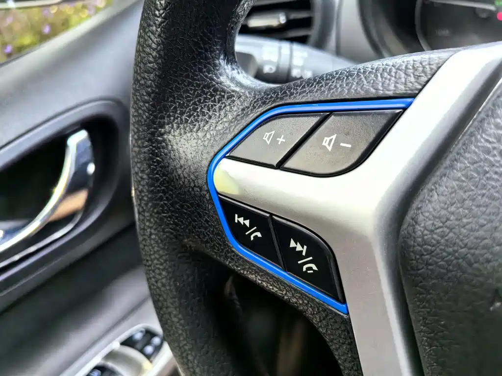 Dongfeng Rich 6 New Energy — миниатюра 39