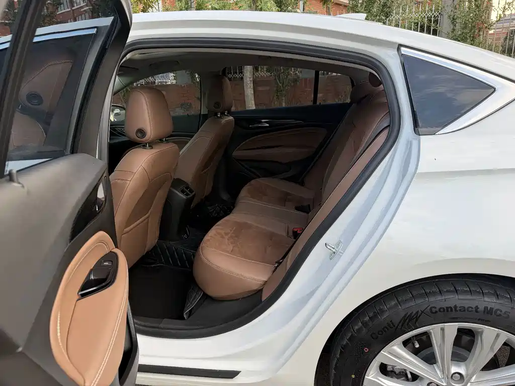 Buick Regal — миниатюра 13