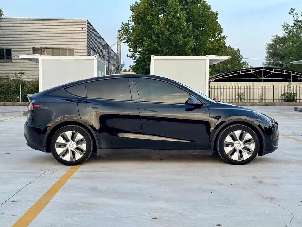 Tesla Model Y — миниатюра 5