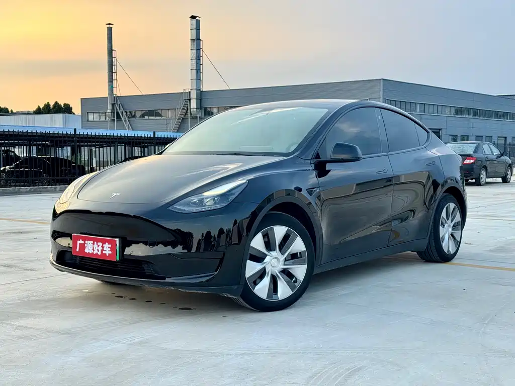 Tesla Model Y — миниатюра 10