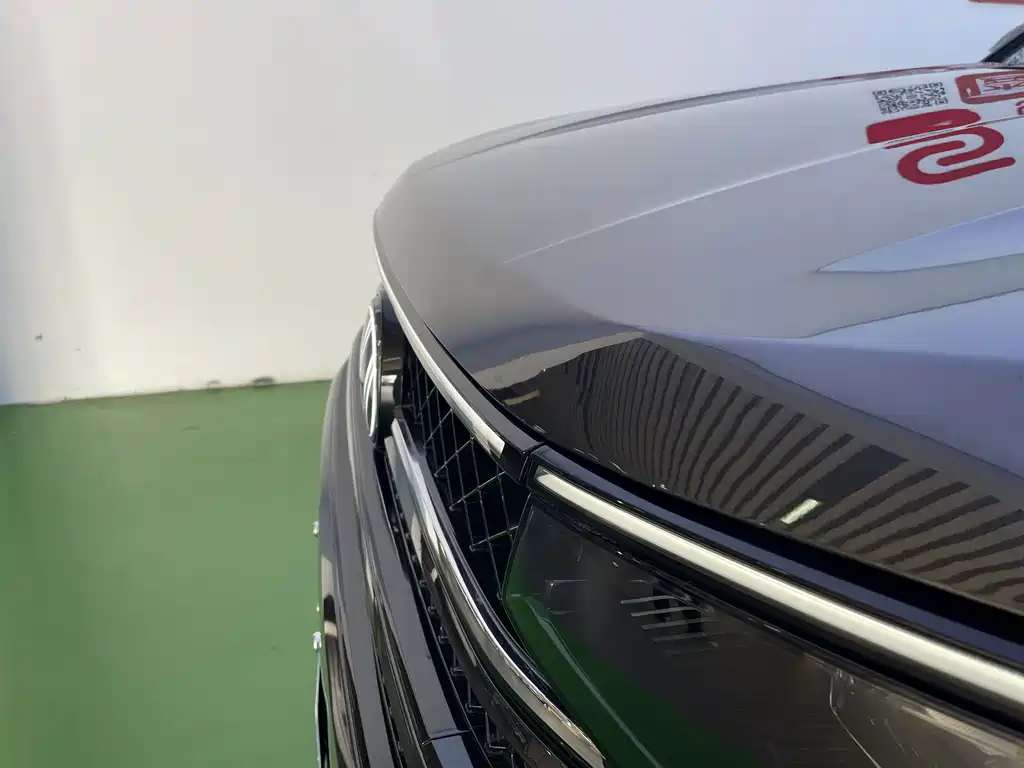 Volkswagen Tavendor — миниатюра 18