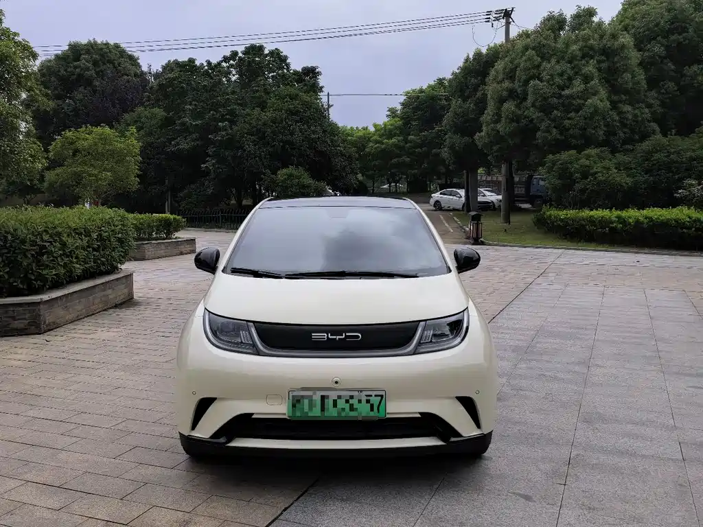 BYD Dolphin 2024 420km Fashion