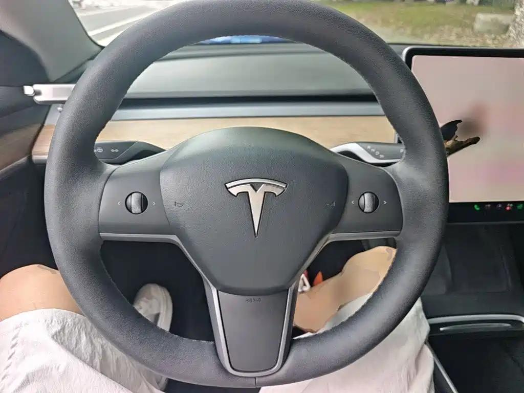 Tesla Model 3 — миниатюра 11
