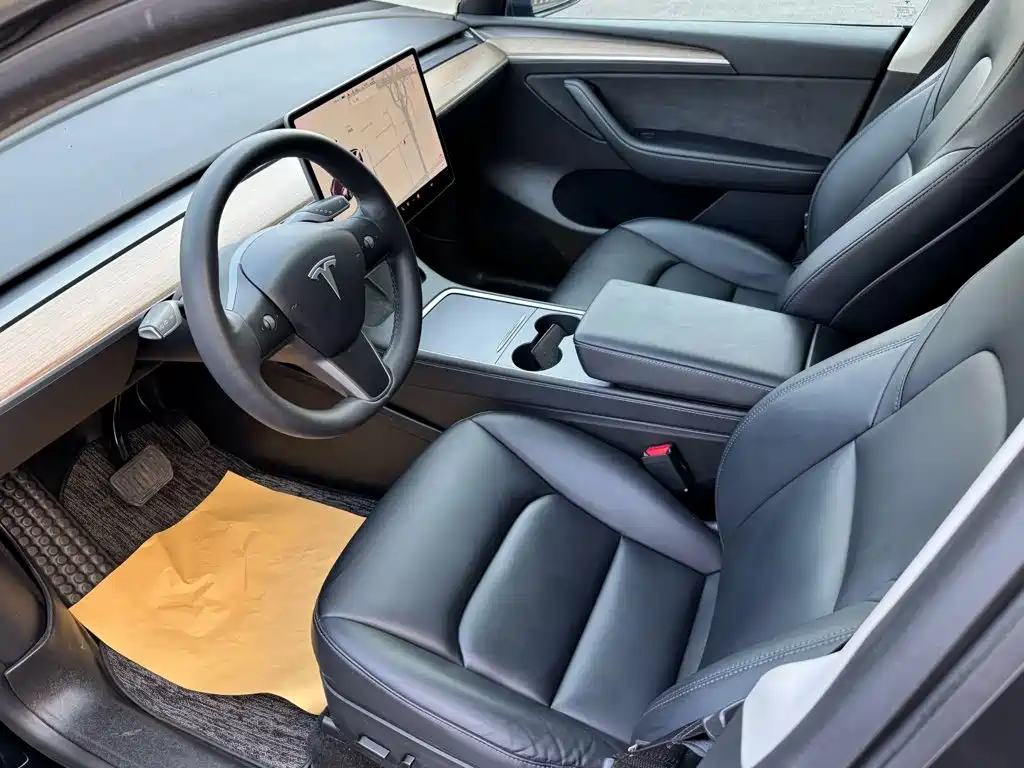 Tesla Model Y — миниатюра 6