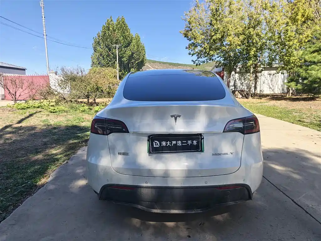 Tesla Model Y — миниатюра 4