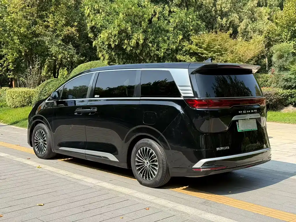 Denza Denza D9 — миниатюра 9