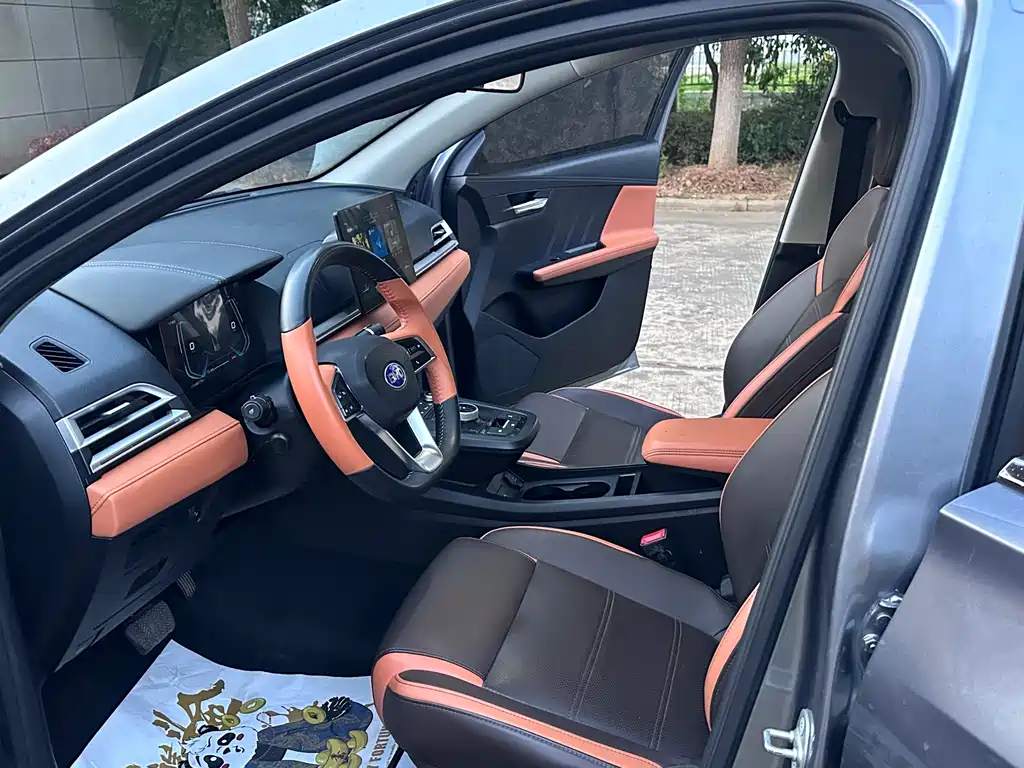 BYD e2 — миниатюра 4