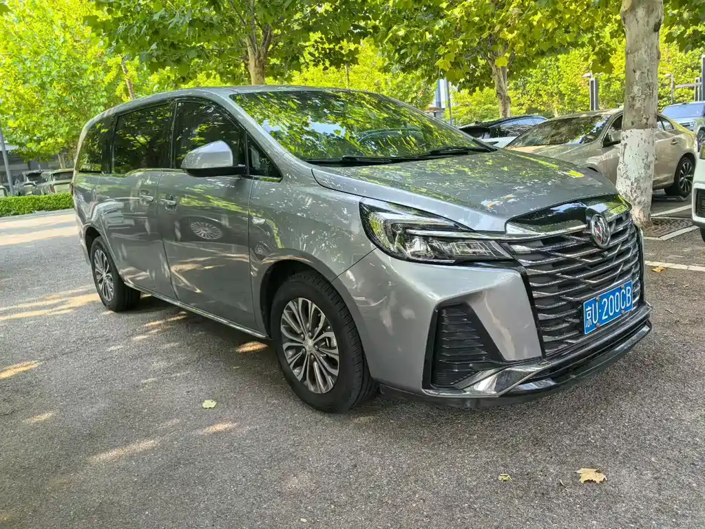 Buick GL8 — миниатюра 3