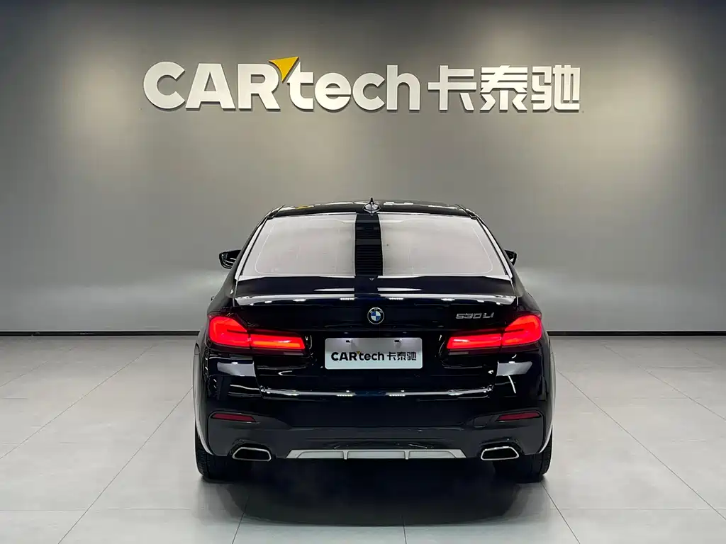 BMW 5 Series — миниатюра 5