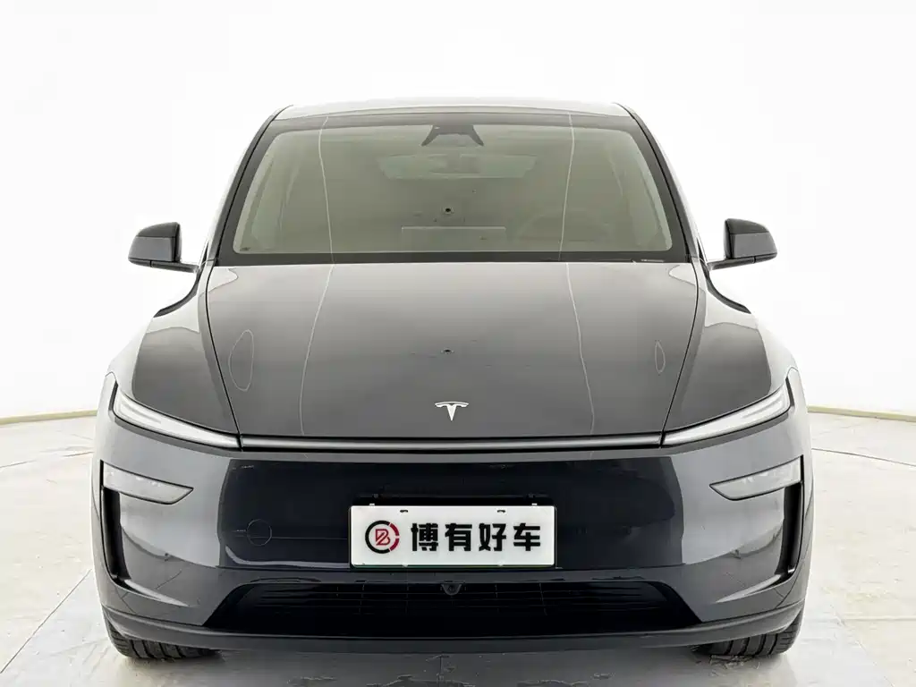 Tesla Model Y — миниатюра 6