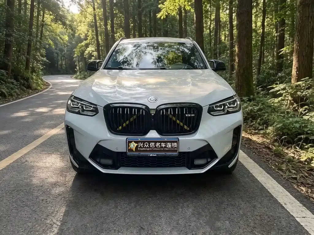 BMW X3 M — миниатюра 2
