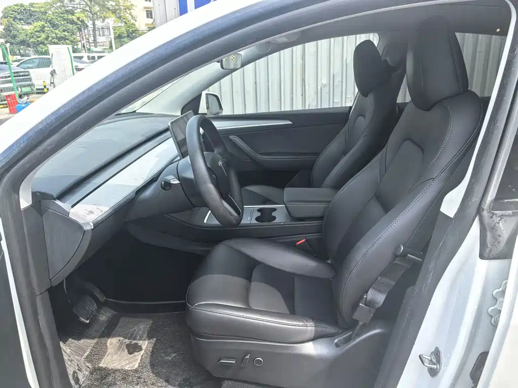 Tesla Model Y — миниатюра 9