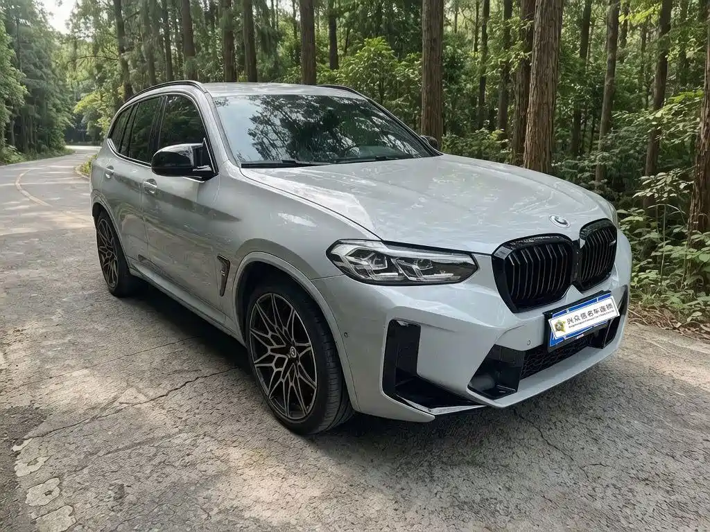 BMW X3 M — миниатюра 3