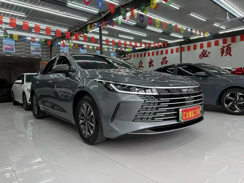 BYD Destroyer 05 — миниатюра 2