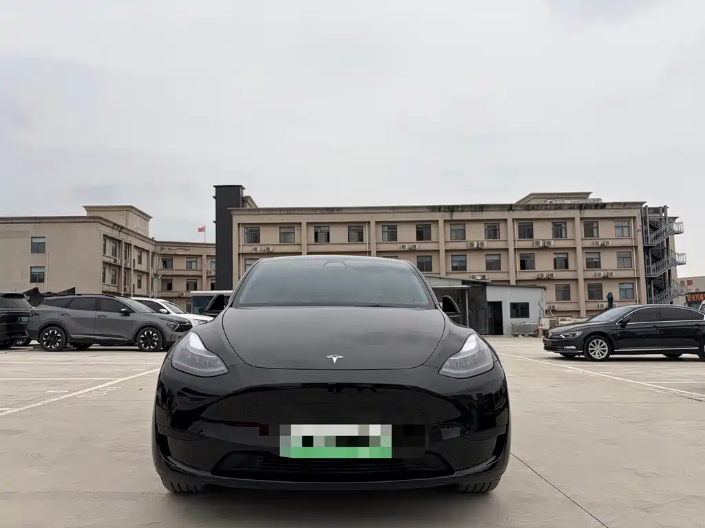 Tesla Model Y — миниатюра 2
