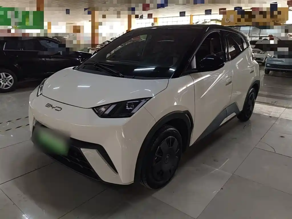 Byd Seagull 2024