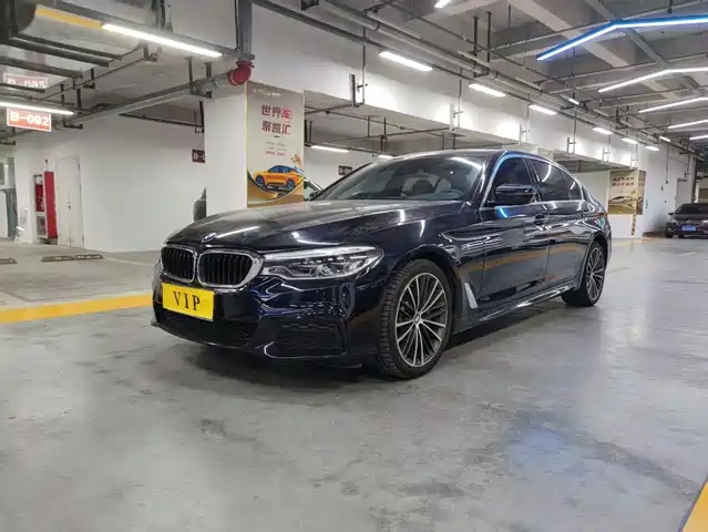 2019 BMW 5er