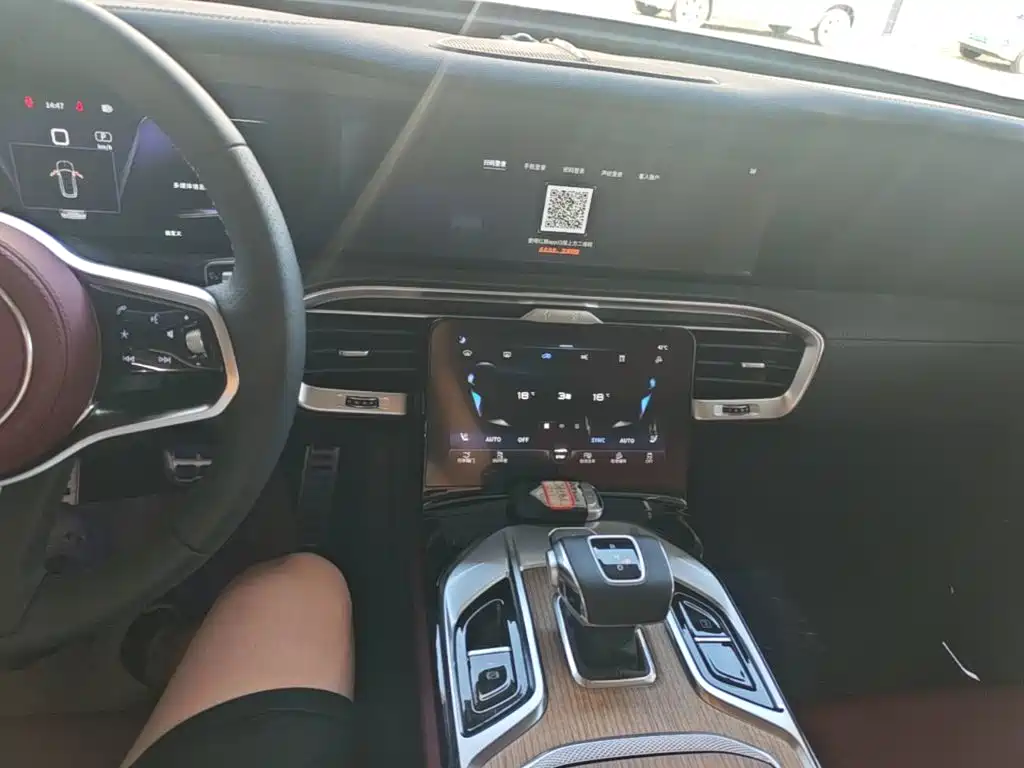 Hongqi Hongqi E-HS9 — миниатюра 13