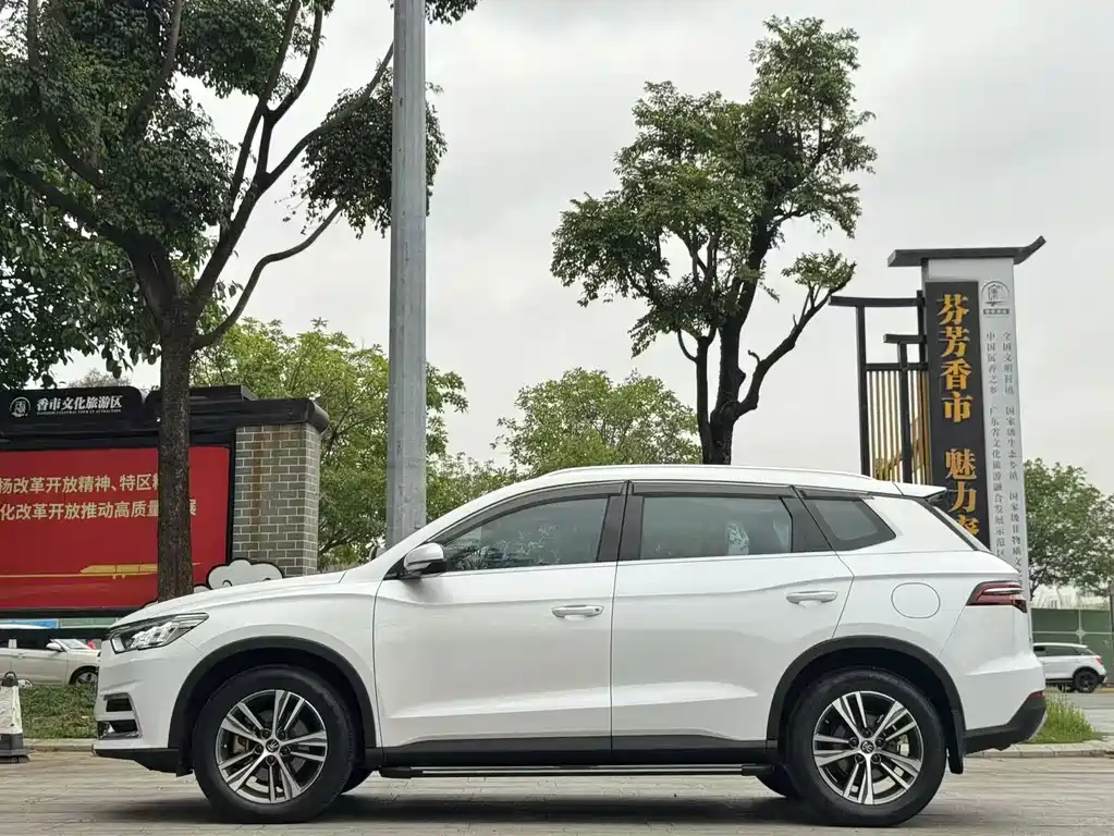 BYD Pro — миниатюра 4