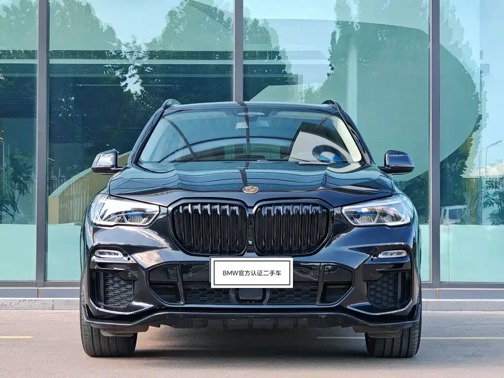 BMW X5 (Import) — миниатюра 3