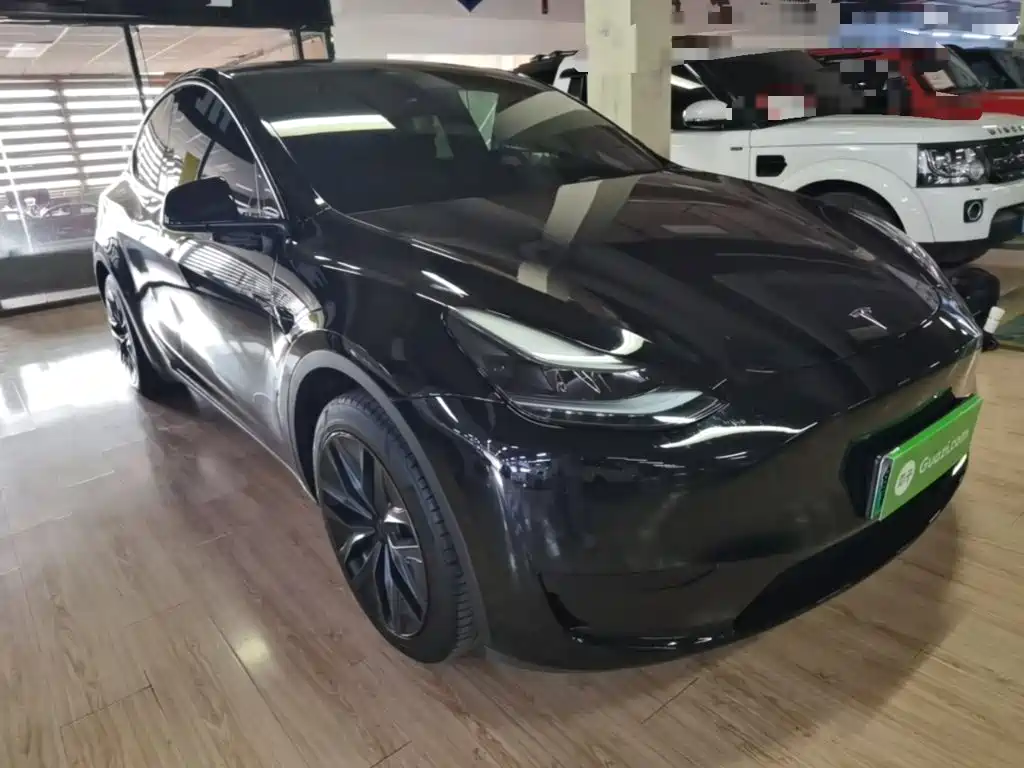 Tesla Model Y — миниатюра 4