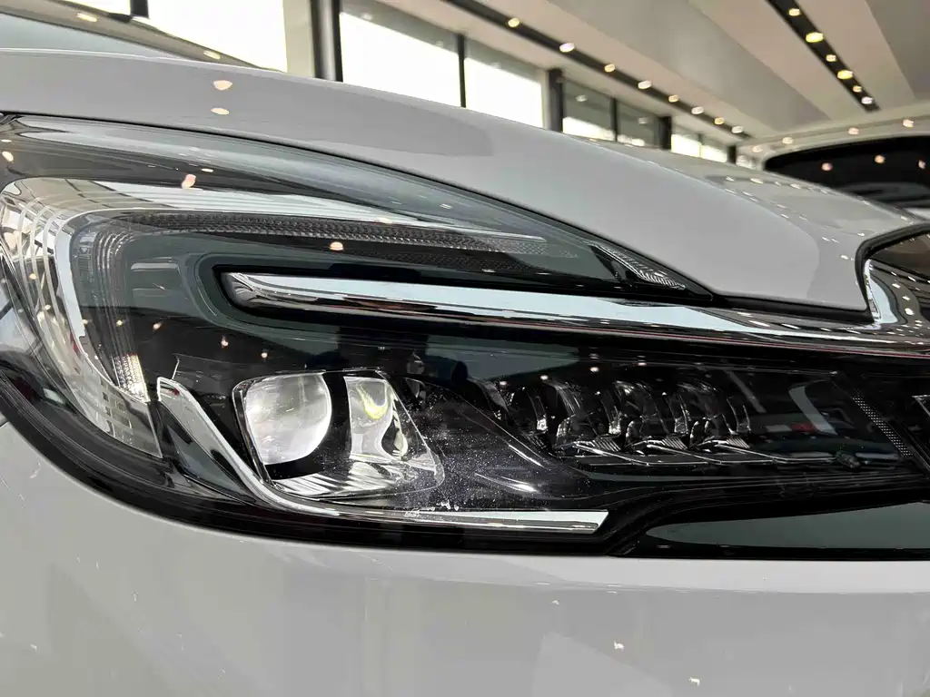 Buick GL8 — миниатюра 10