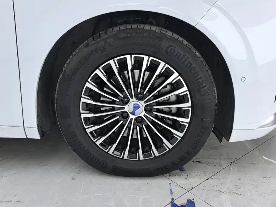 Denza Denza D9 — миниатюра 6