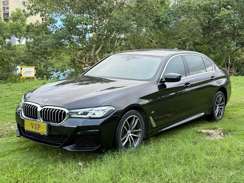 BMW 5 Series — миниатюра 2