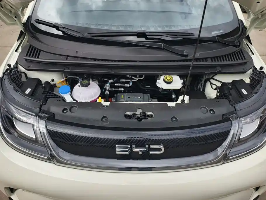 BYD Dolphin 2025 420km Freedom