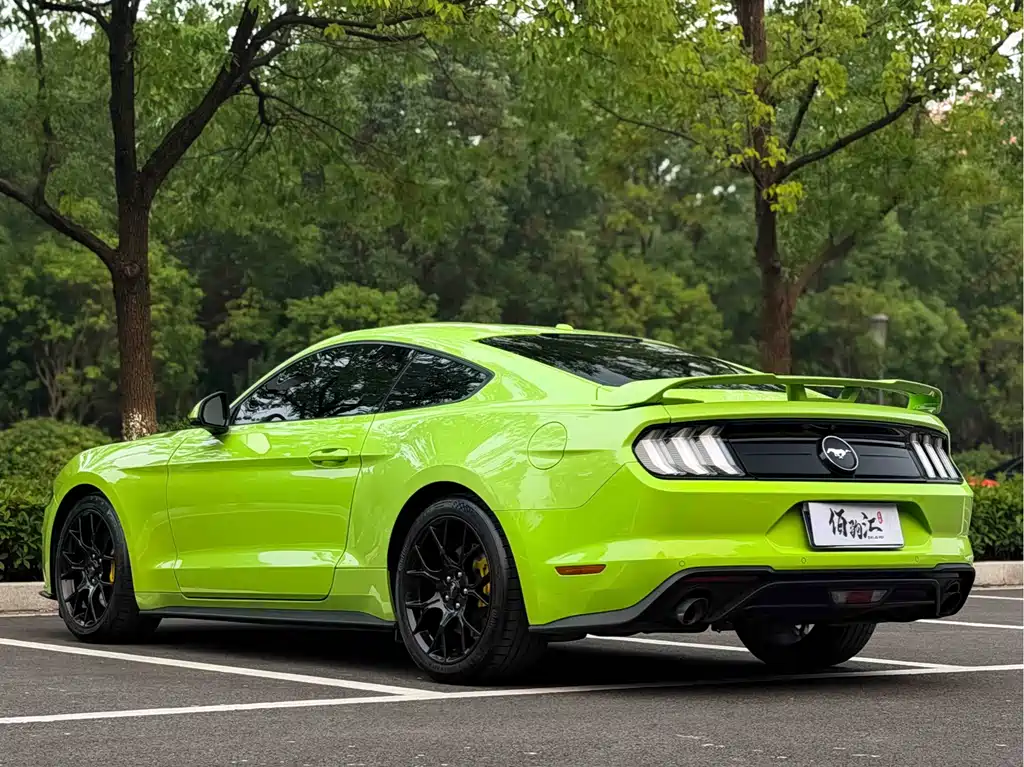 Ford Mustang — миниатюра 8