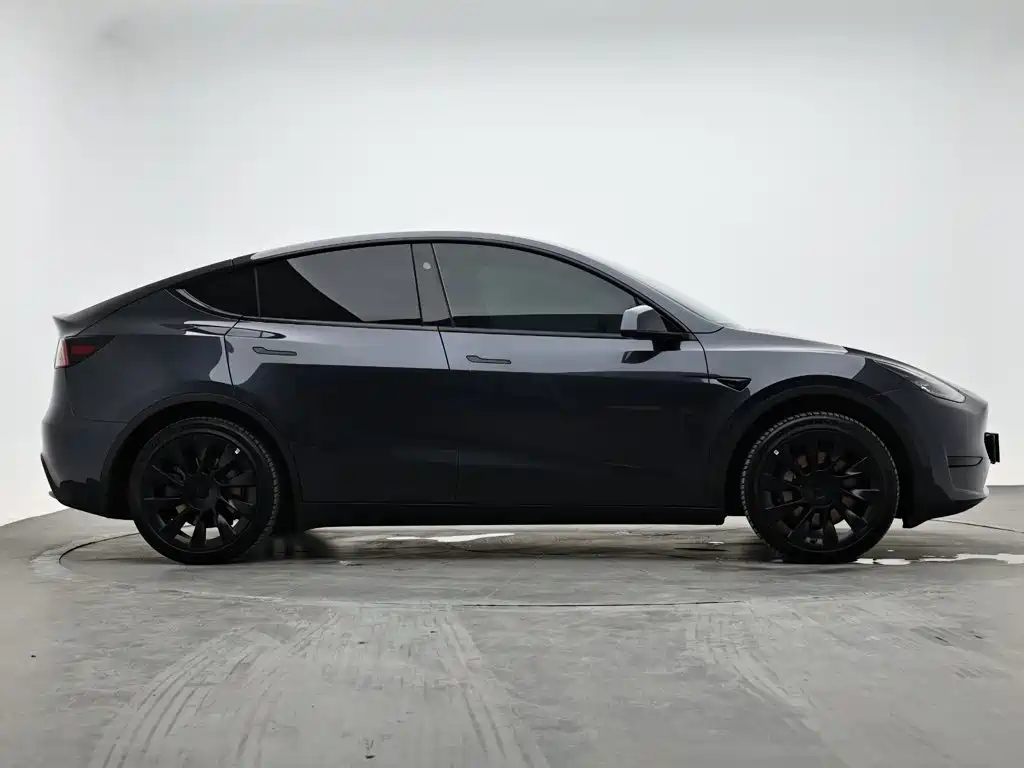 Tesla Model Y — миниатюра 5