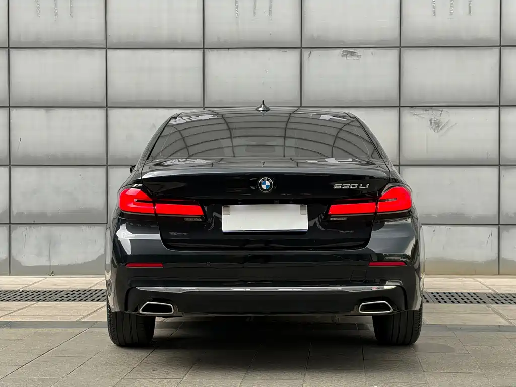 BMW 5 Series — миниатюра 8