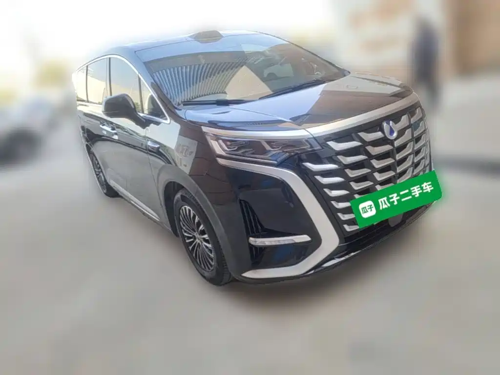 Denza Denza D9 — миниатюра 6