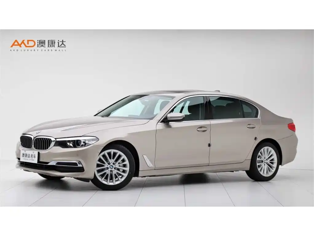 BMW 5 Series 2019