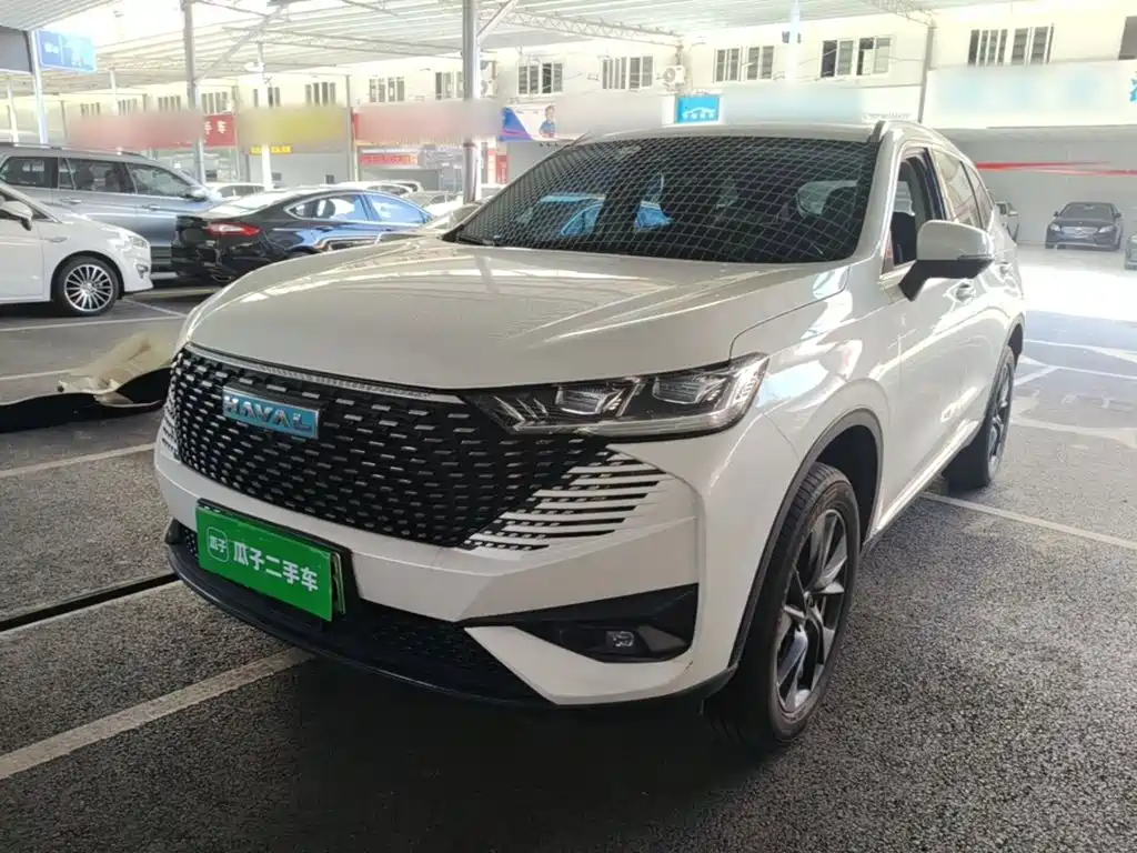 Haval H6 New Energy