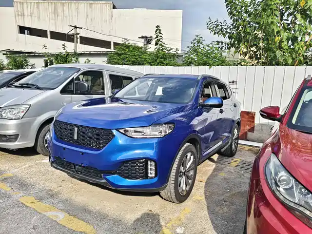 2019 Wey VV6