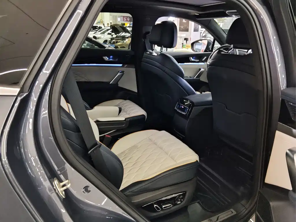 BYD Tang New Energy — миниатюра 14