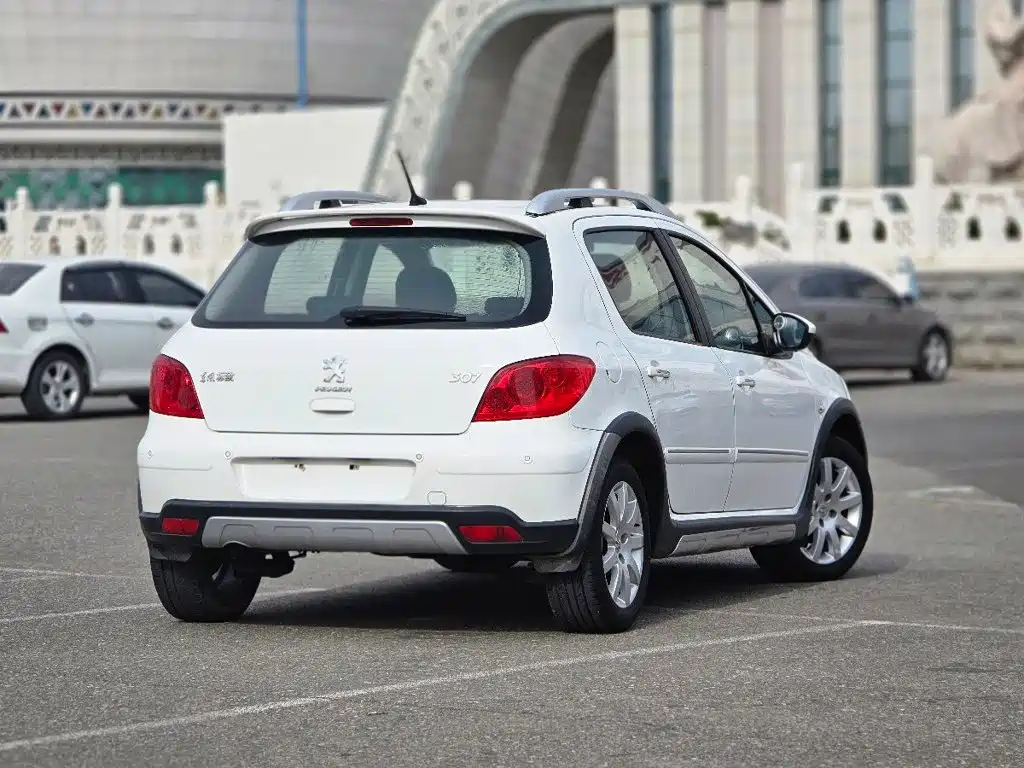 Peugeot 307 — миниатюра 4